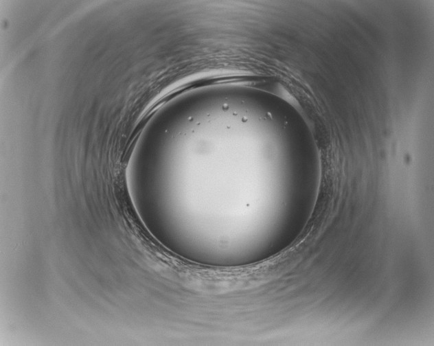 X0000056360033200508261349