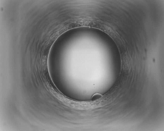 X0000056360034200508261348