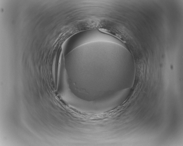 X0000056360035200508261348