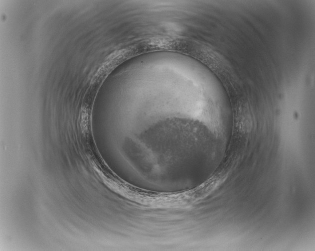 X0000056360036200508261348