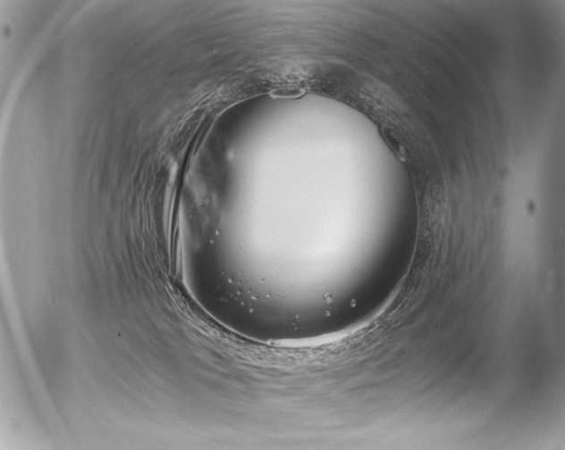 X0000056360037200508261348