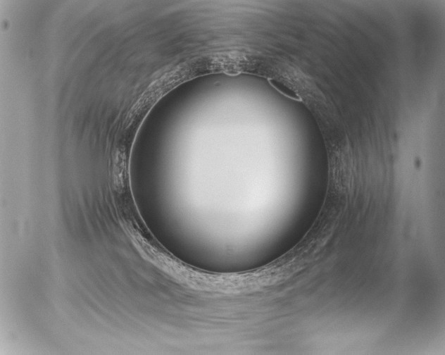 X0000056360038200508261348