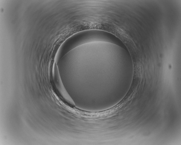 X0000056360039200508261348