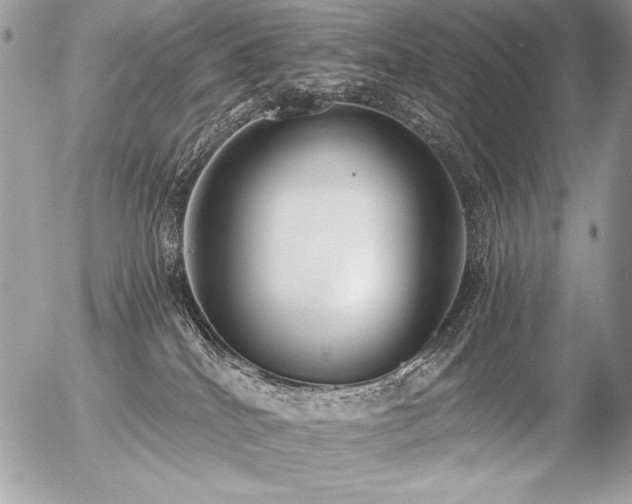 X0000056360040200508261348