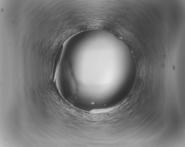 X0000056360041200508261348