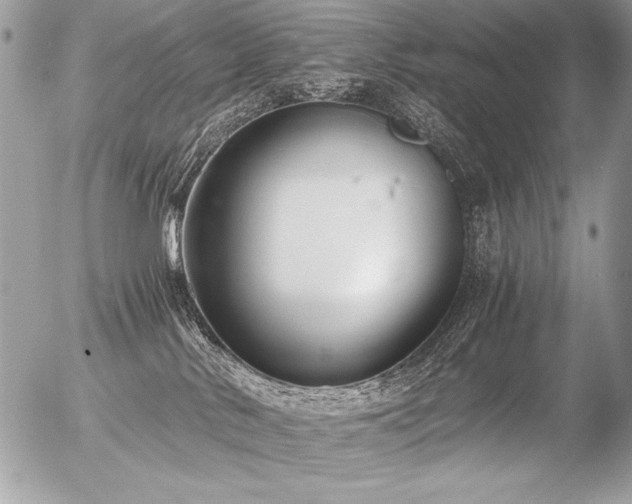 X0000056360042200508261348