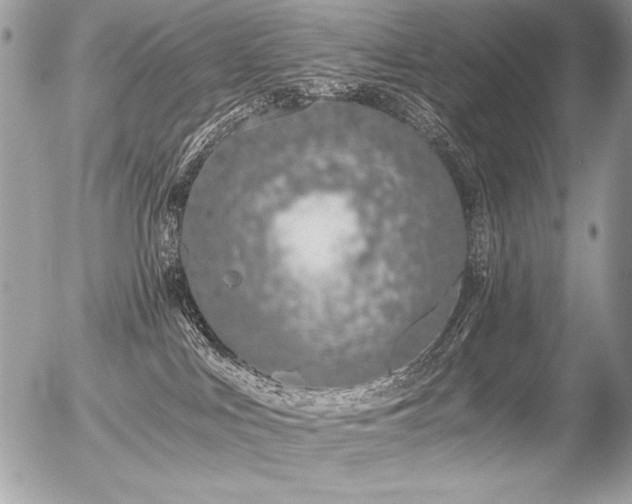 X0000056360043200508261348