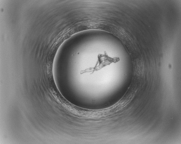 X0000056360044200508261348