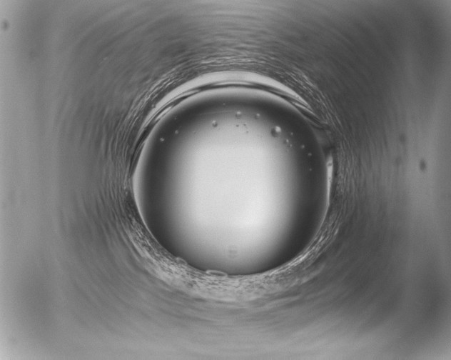 X0000056360045200508261348