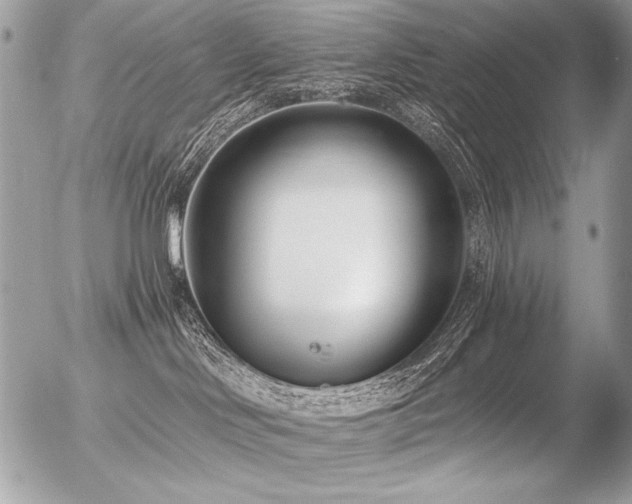 X0000056360046200508261348