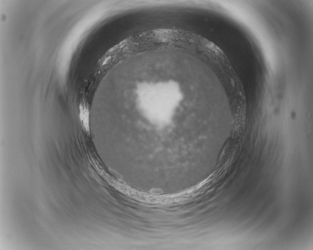 X0000056360047200508261348