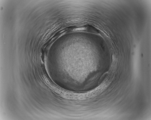 X0000056360048200508261348