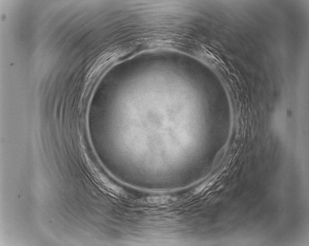 X0000056360049200508261347