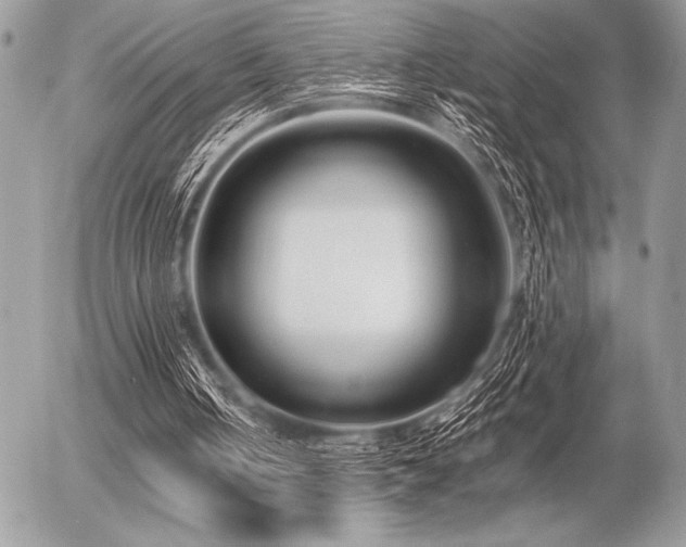 X0000056360050200508261347