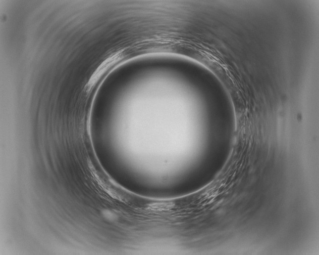 X0000056360051200508261348