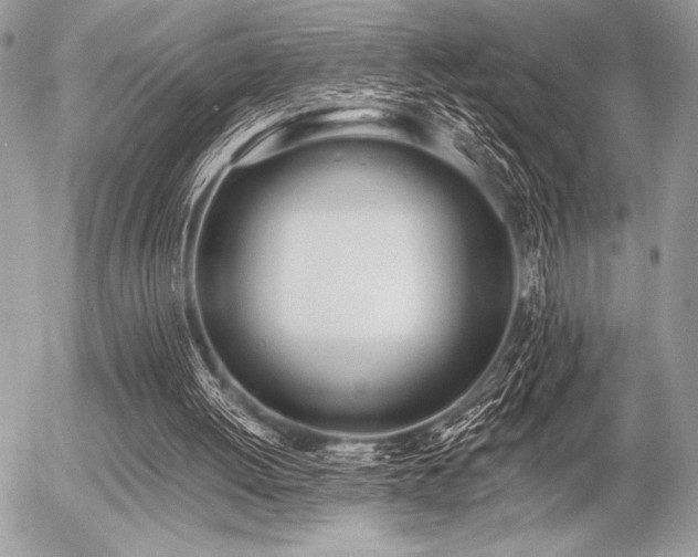 X0000056360052200508261348