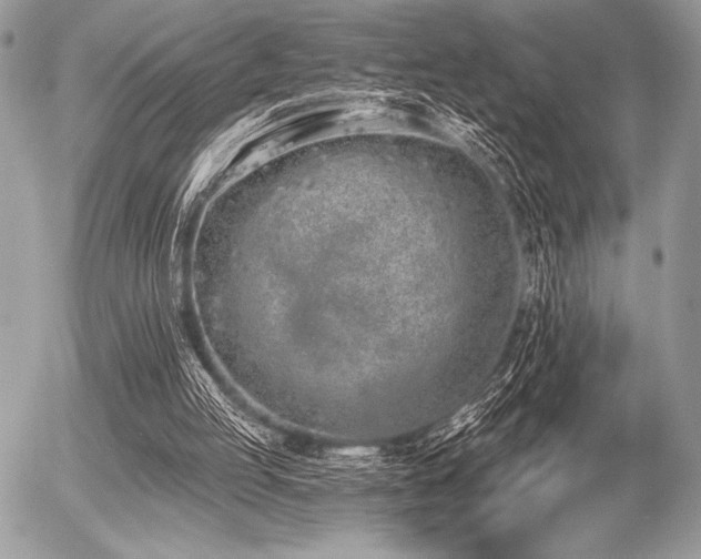 X0000056360053200508261348