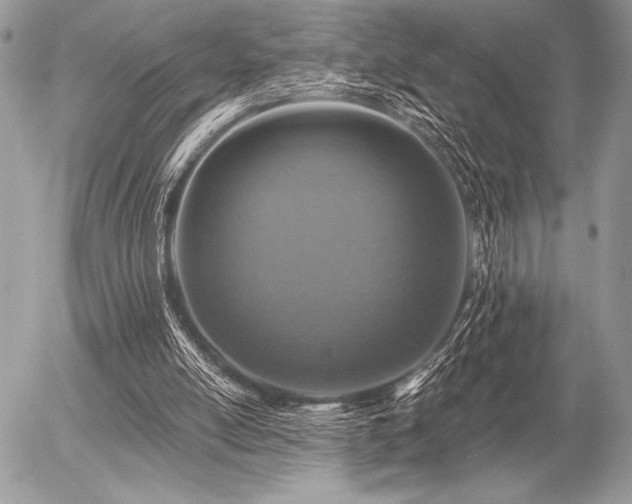 X0000056360054200508261348