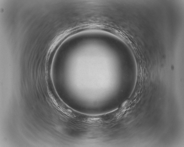 X0000056360055200508261348