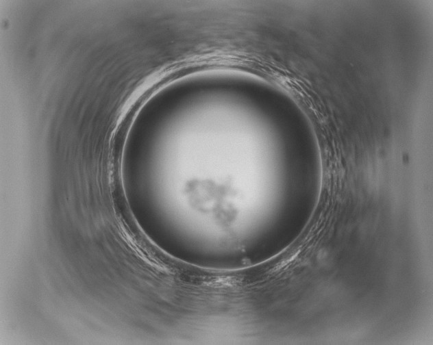 X0000056360056200508261348