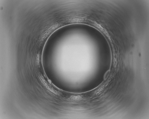 X0000056360057200508261348