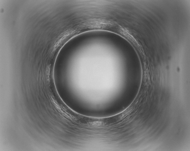 X0000056360058200508261348