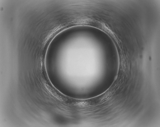 X0000056360059200508261348