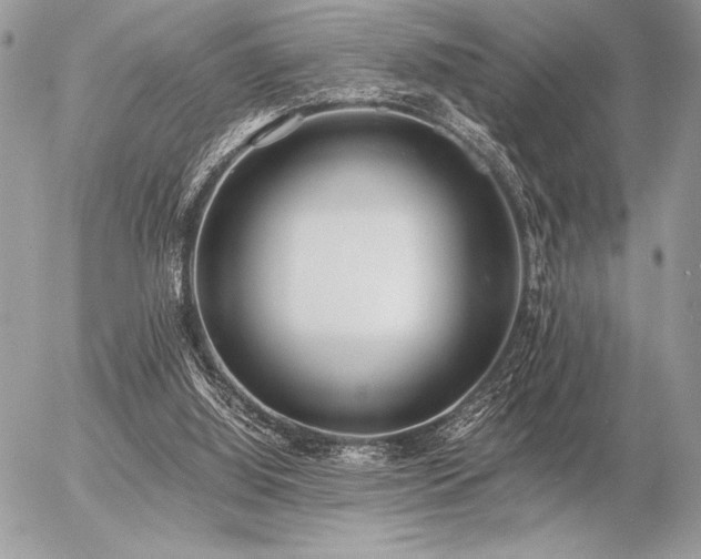 X0000056360060200508261348