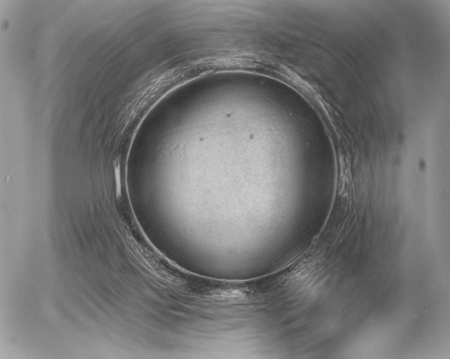 X0000056360061200508261348