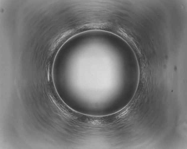 X0000056360062200508261348