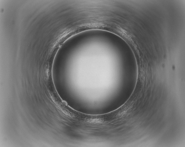 X0000056360063200508261348