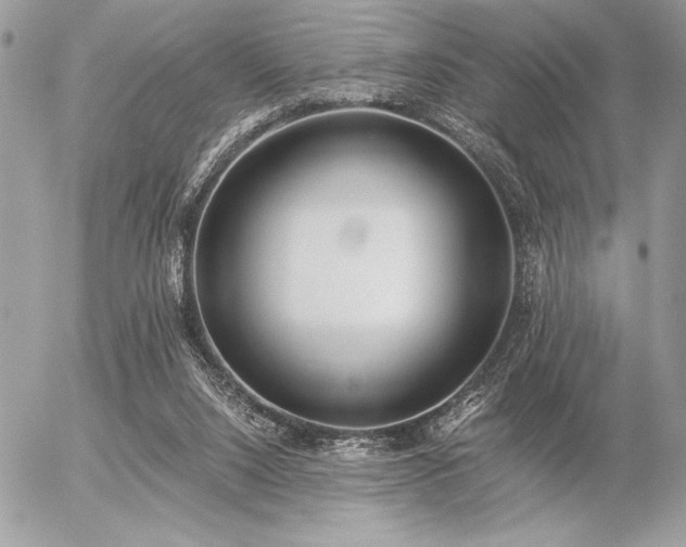 X0000056360064200508261348