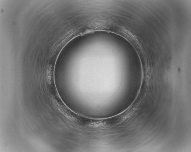 X0000056360065200508261348