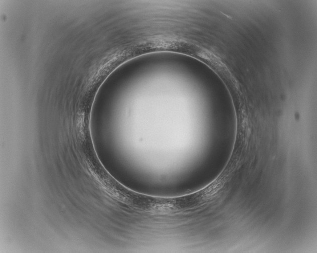 X0000056360066200508261348