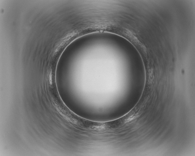 X0000056360068200508261348