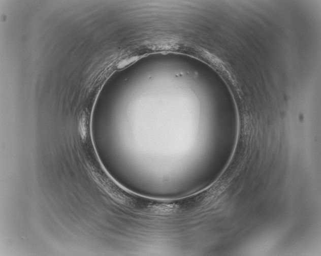 X0000056360069200508261348