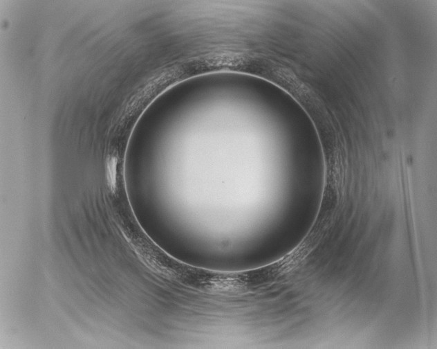 X0000056360070200508261348