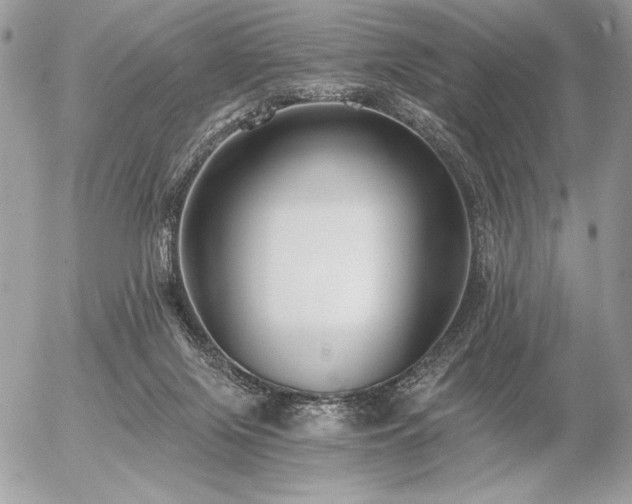 X0000056360071200508261348