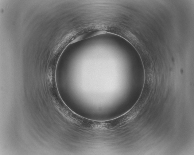 X0000056360072200508261348