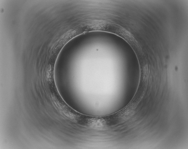 X0000056360073200508261348