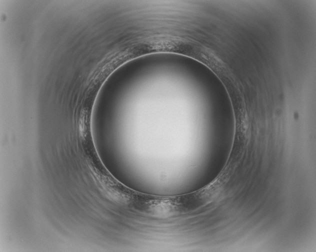 X0000056360074200508261348