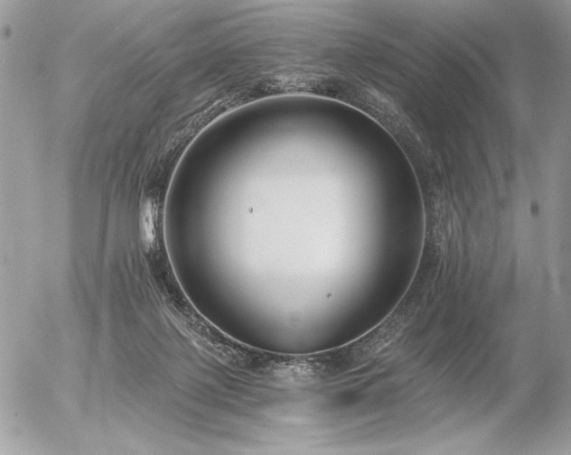 X0000056360075200508261348