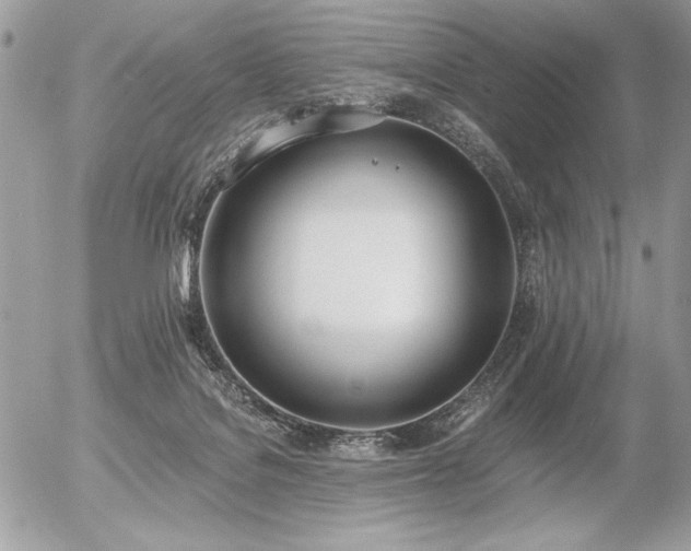 X0000056360076200508261348