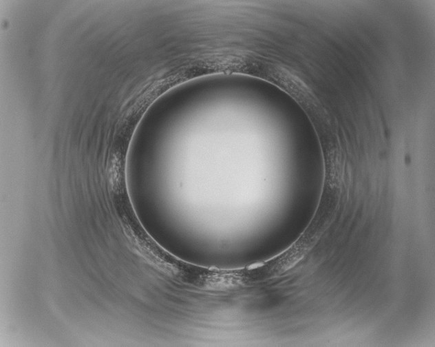 X0000056360077200508261348