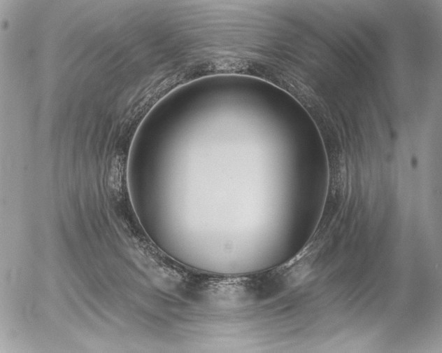 X0000056360078200508261348