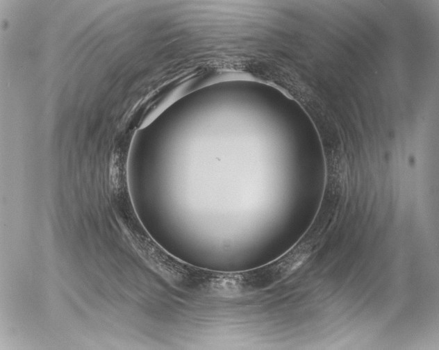 X0000056360080200508261348