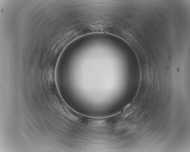 X0000056360081200508261348