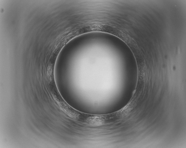 X0000056360082200508261348