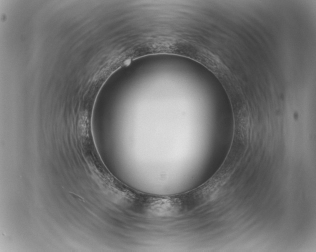 X0000056360083200508261348