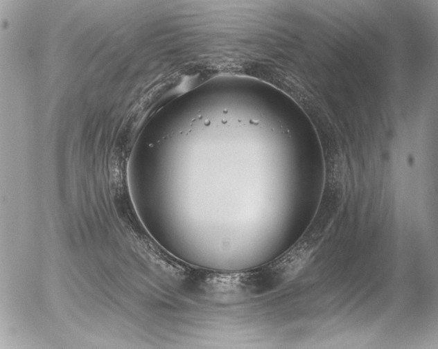 X0000056360084200508261348